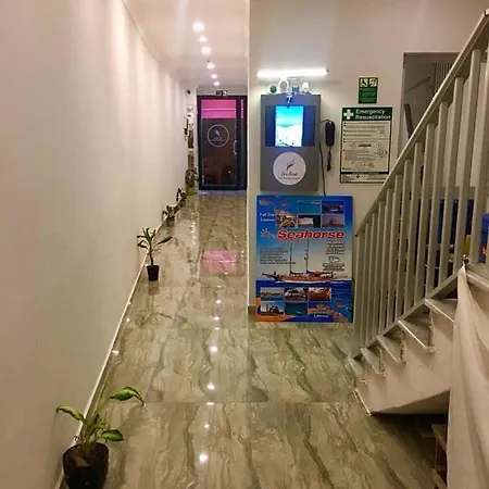 For Rest סיינט פול ביי