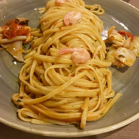 For Rest 2* סיינט פול ביי